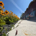 Account avatar for Cle Elum Downtown Association